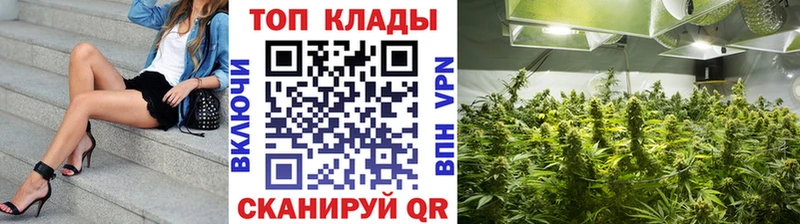 Где купить наркотики Великий Устюг ГАШ  Марихуана  СК  Меф мяу мяу 