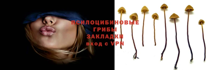 синтетический гашиш Богданович