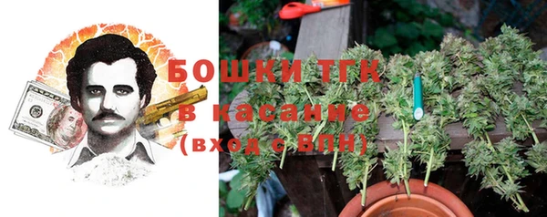 дмт Богородск