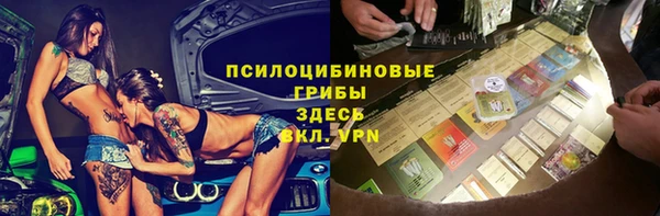 дмт Богородск