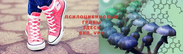 твердый Белокуриха