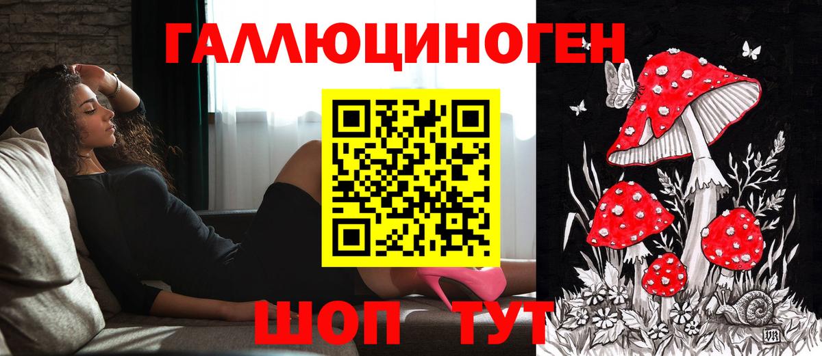 наркотики  Вход с VPN  Великий Устюг  Псилоцибиновые грибы Psilocybe  Псилоцибиновые грибы Psilocybine cubensis 