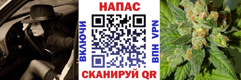 hydra как зайти  наркота  Великий Устюг  Шишки марихуана THC 21% 